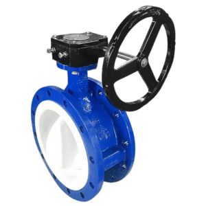 Concentric Butterfly Valve